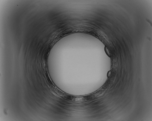 X0000098010173200803280739