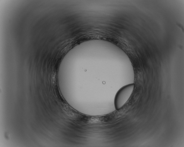 X0000098010177200803280739