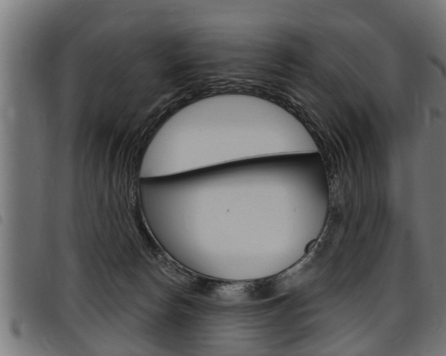 X0000098010178200803280739