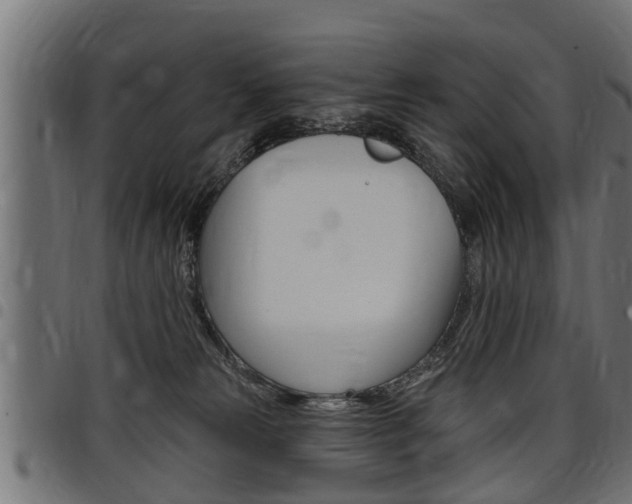 X0000098010181200803280739