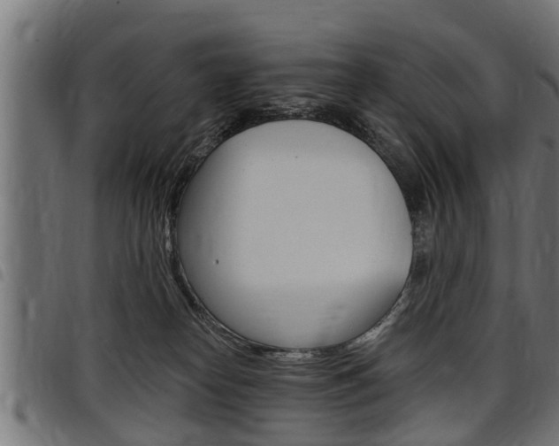 X0000098010182200803280739