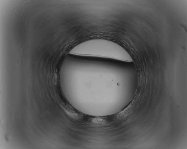 X0000098010183200803280739