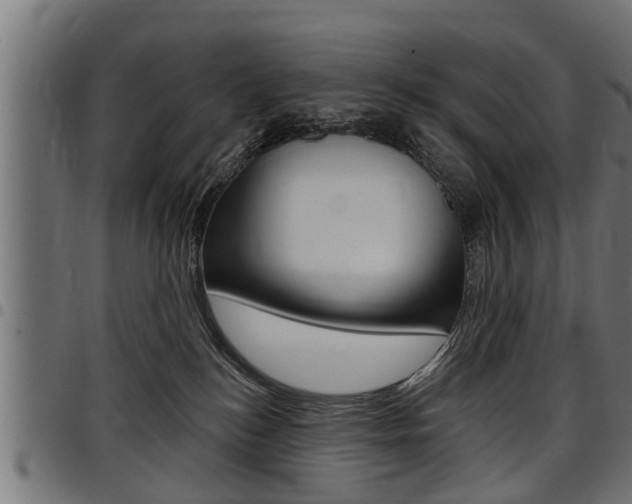 X0000098010184200803280739