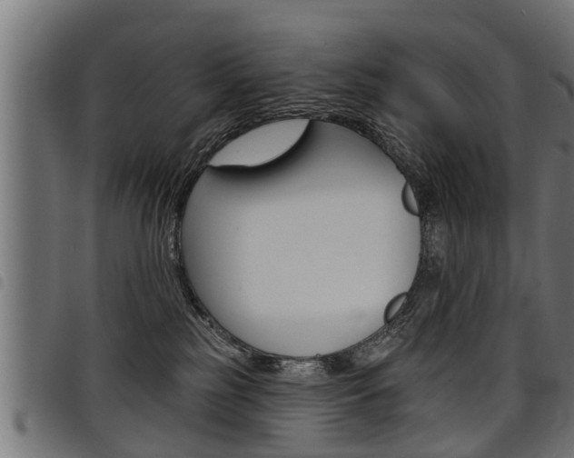 X0000098010185200803280739