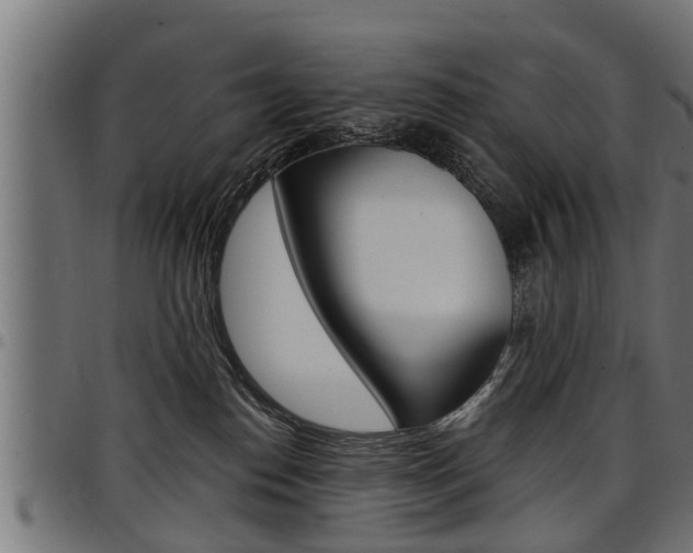 X0000098010186200803280739