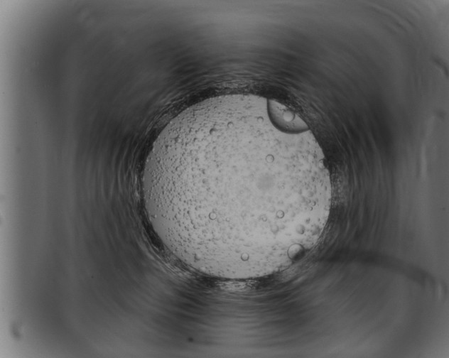 X0000098010187200803280739