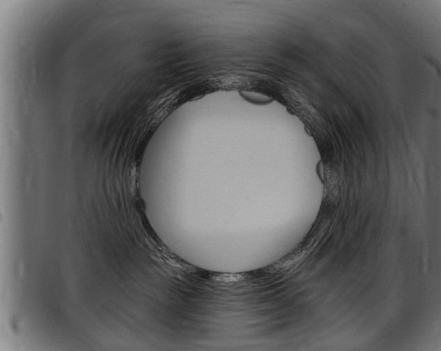 X0000098010189200803280739