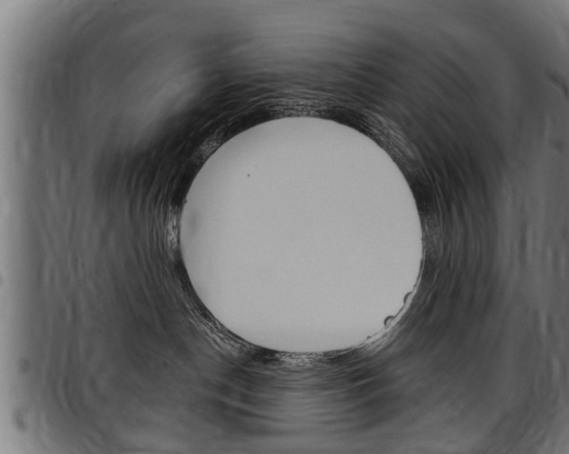 X0000098010190200803280739
