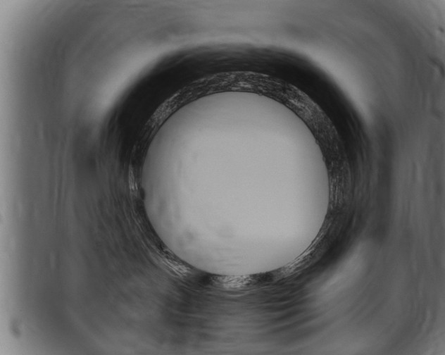 X0000098010191200803280739