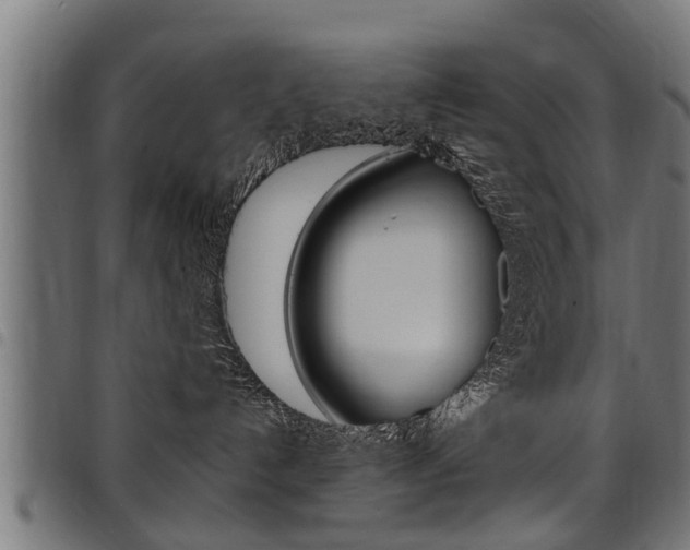 X0000098010192200803280739