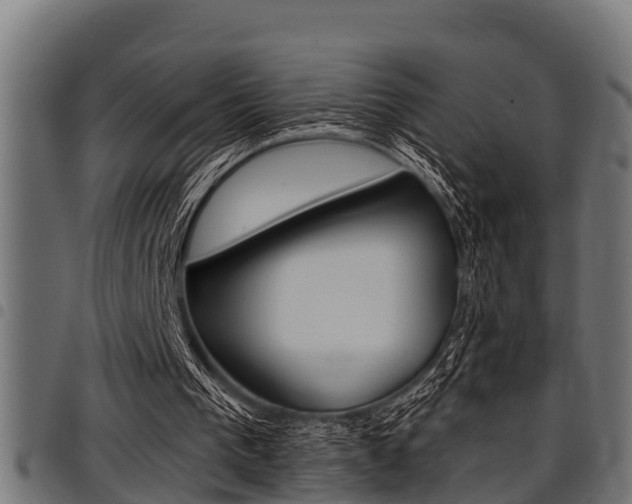 X0000098010193200803280738