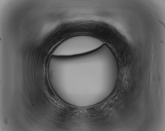 X0000098010194200803280738