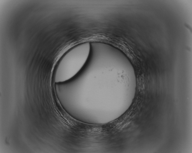 X0000098010196200803280738