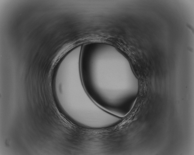 X0000098010197200803280738