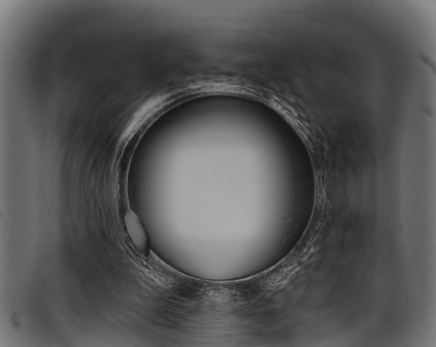 X0000098010199200803280738