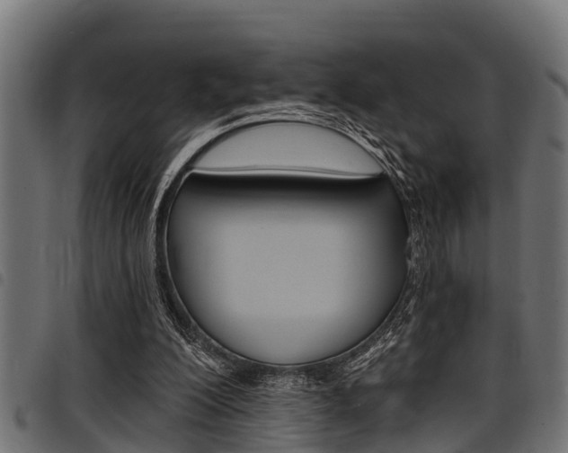 X0000098010200200803280738