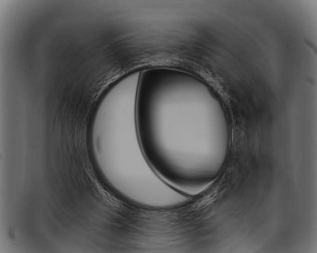 X0000098010201200803280738