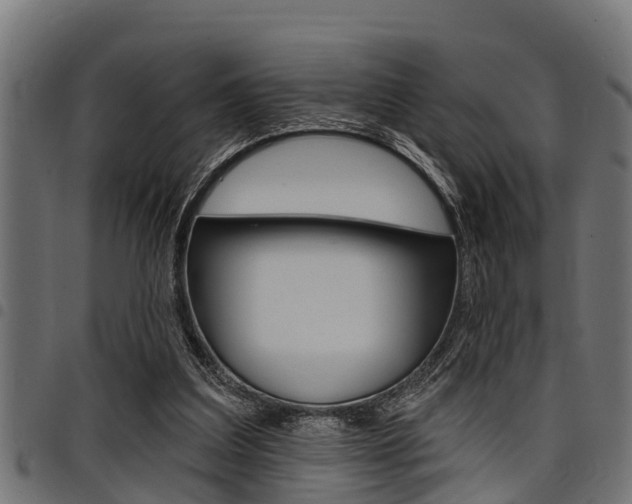 X0000098010203200803280738