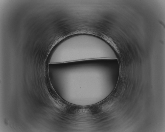 X0000098010204200803280738