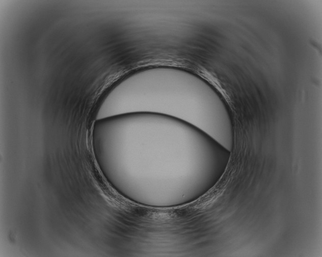 X0000098010205200803280738
