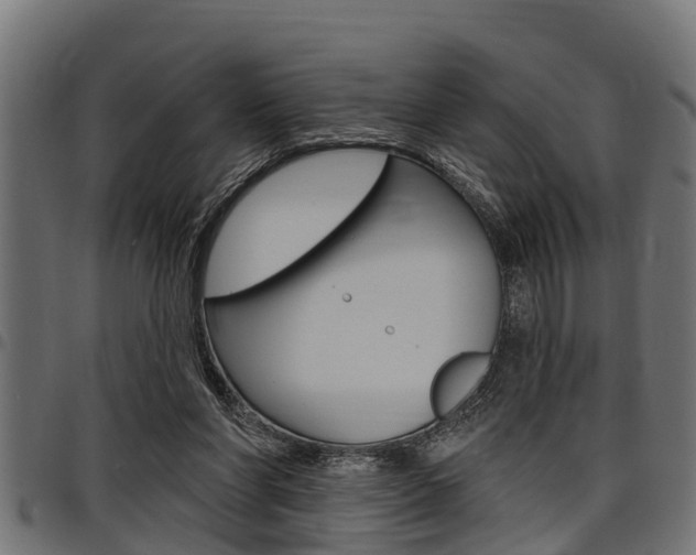 X0000098010206200803280738