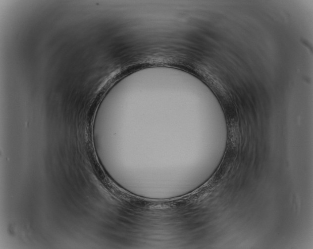 X0000098010208200803280738