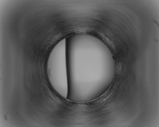 X0000098010209200803280738
