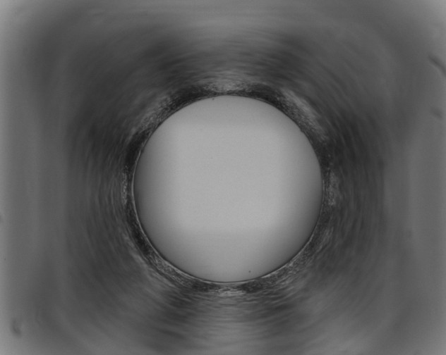 X0000098010210200803280738