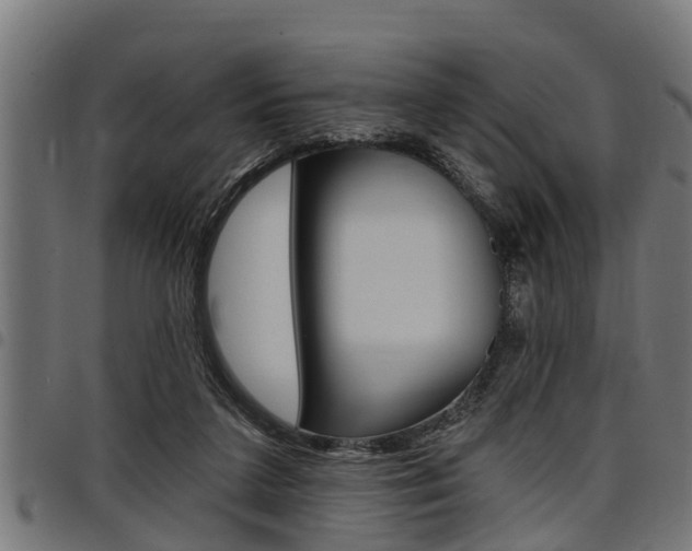 X0000098010211200803280738