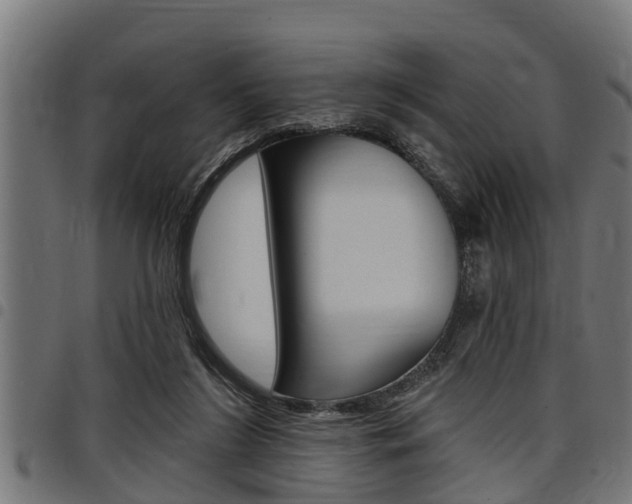 X0000098010212200803280738