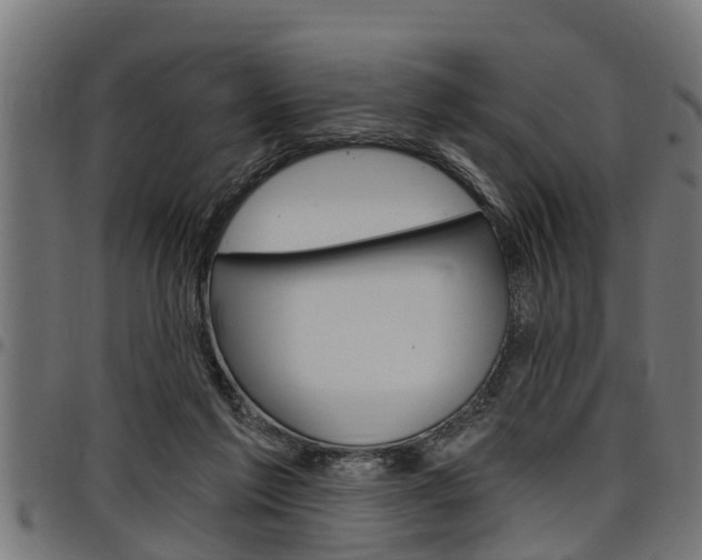X0000098010213200803280738