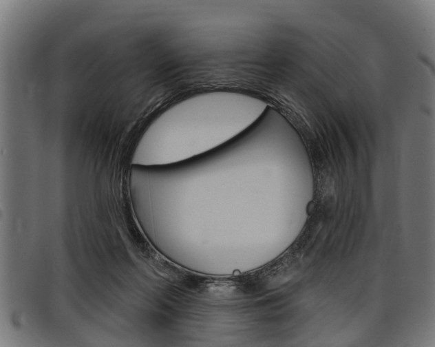 X0000098010214200803280738