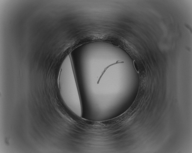 X0000098010215200803280738