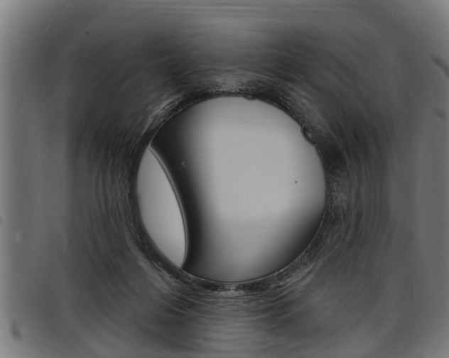 X0000098010216200803280738