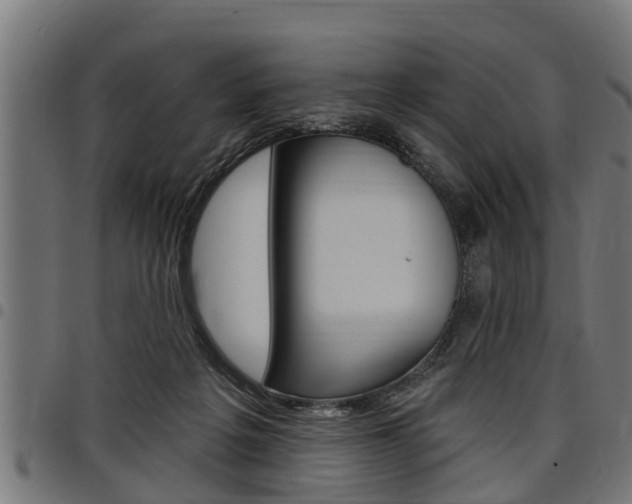 X0000098010217200803280738