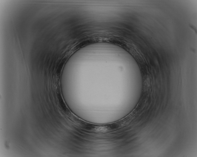 X0000098010218200803280738