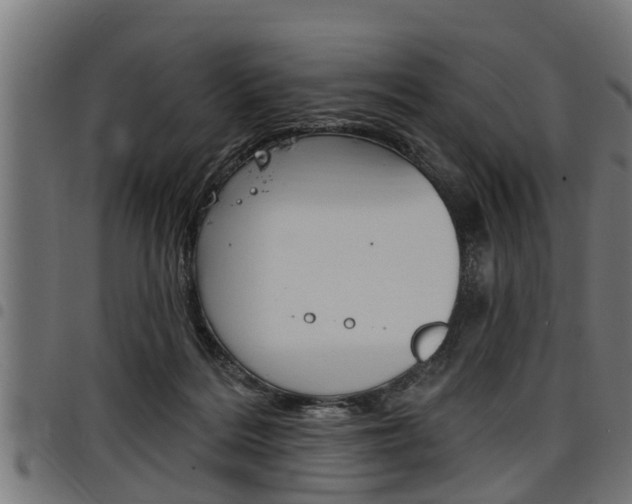 X0000098010220200803280738