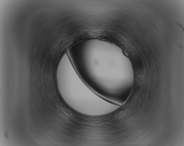 X0000098010221200803280738