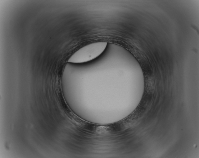 X0000098010222200803280738