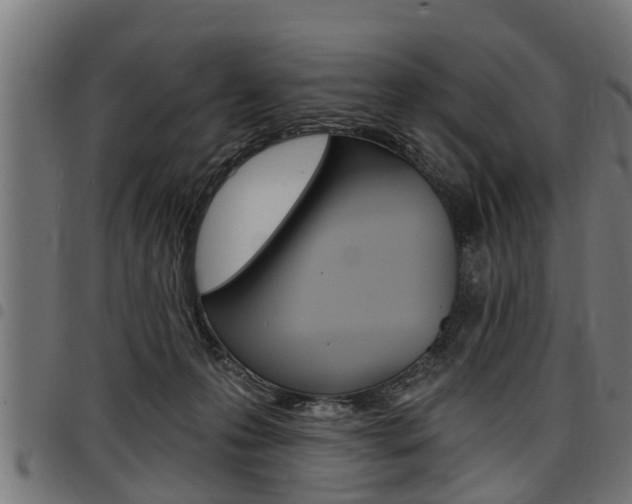 X0000098010223200803280738