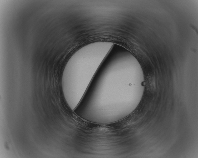 X0000098010224200803280738