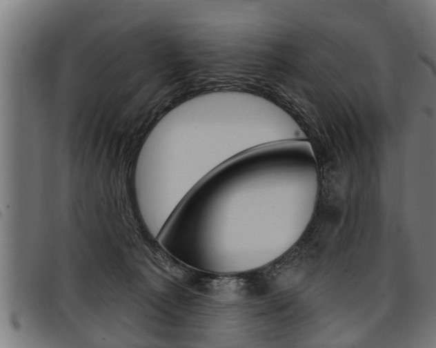 X0000098010225200803280738