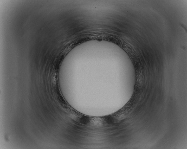 X0000098010226200803280737