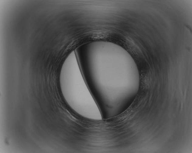 X0000098010227200803280737
