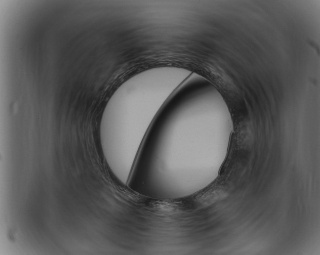 X0000098010229200803280737