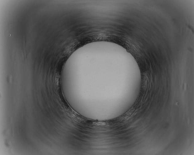 X0000098010230200803280737