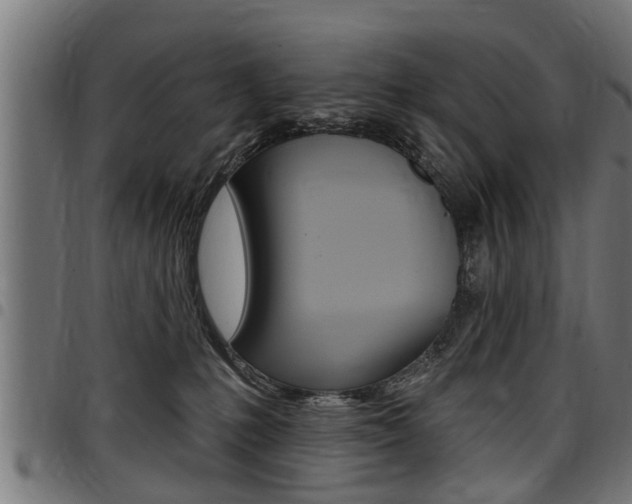 X0000098010231200803280737