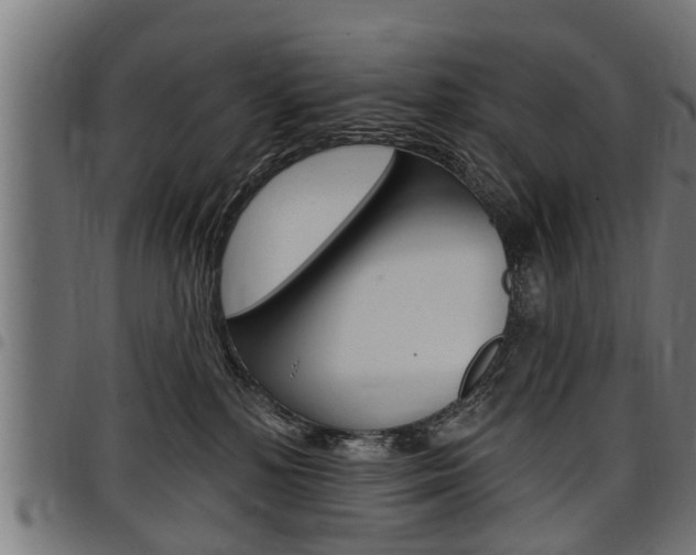 X0000098010232200803280737