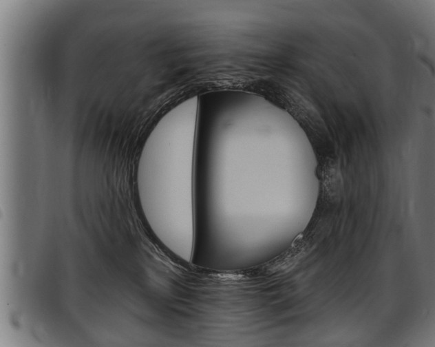 X0000098010233200803280737