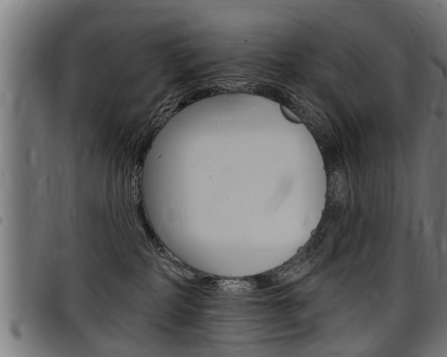 X0000098010234200803280737